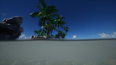 brown-muddy-water-and-palms-on-island